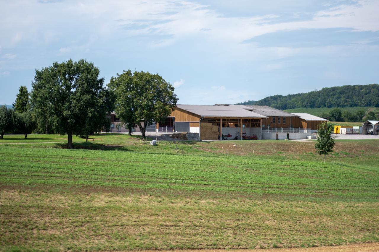 65889_Sven und Daniela Hauenstein.jpg