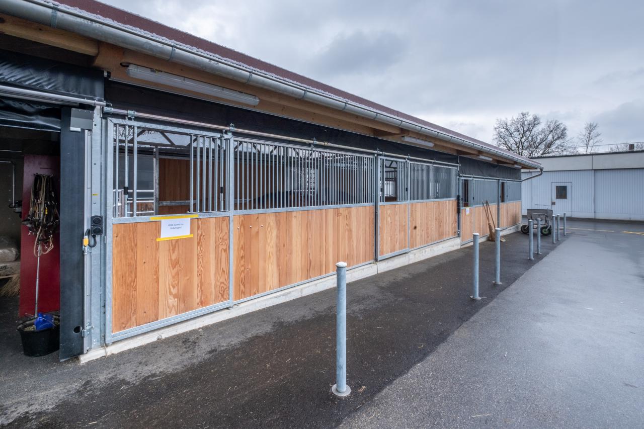 25437_Tierspital Bern Boxen 1.jpg