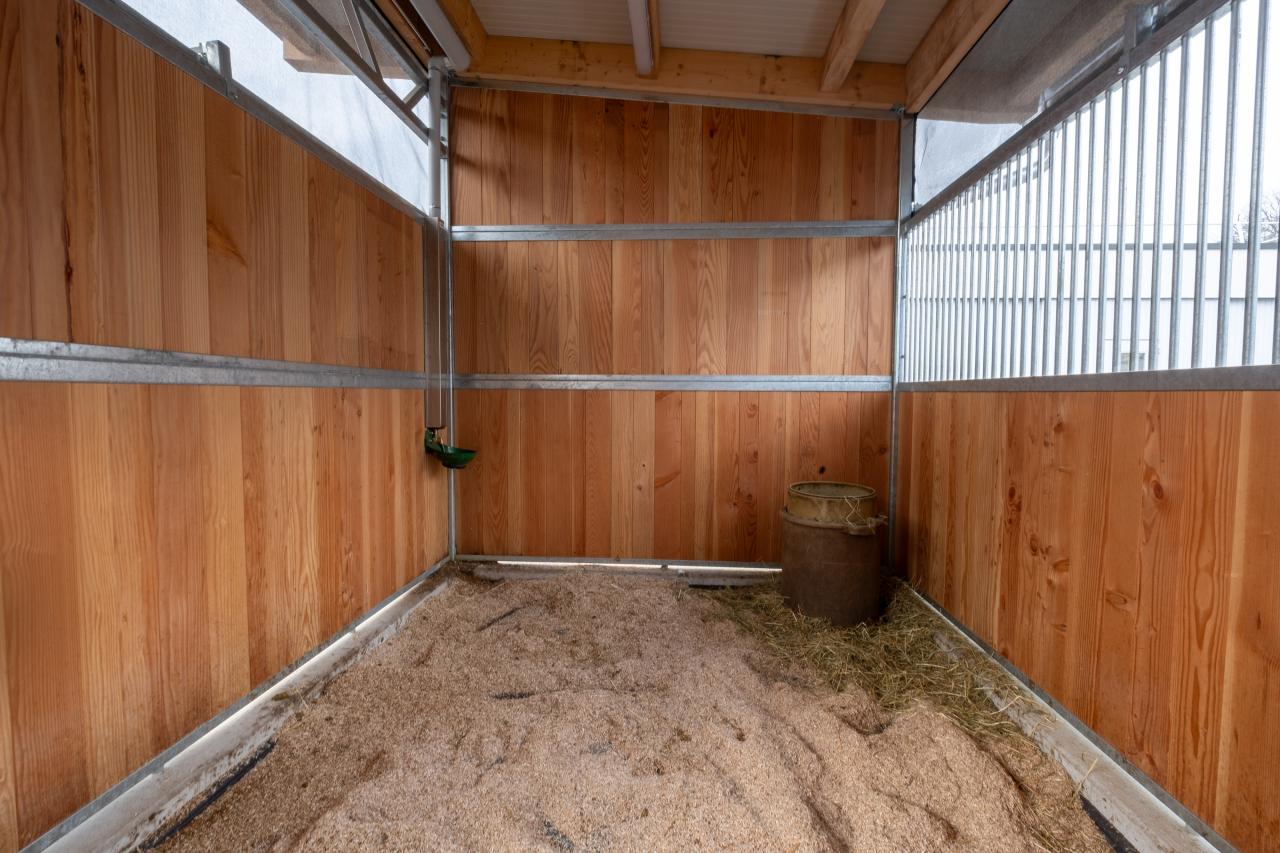 25437_Tierspital Bern Boxen 4.jpg