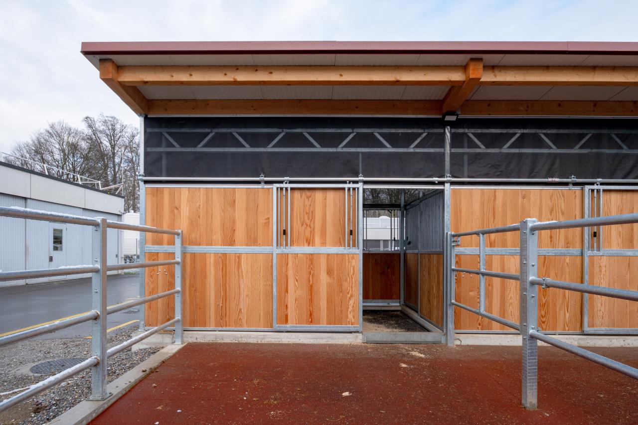 25437_Tierspital Bern Boxen 5.jpg