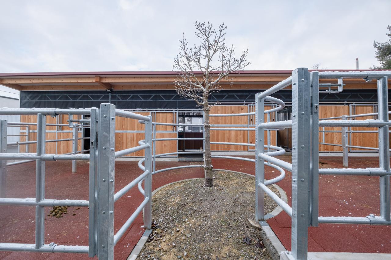 25437_Tierspital Bern Paddock 10.jpg