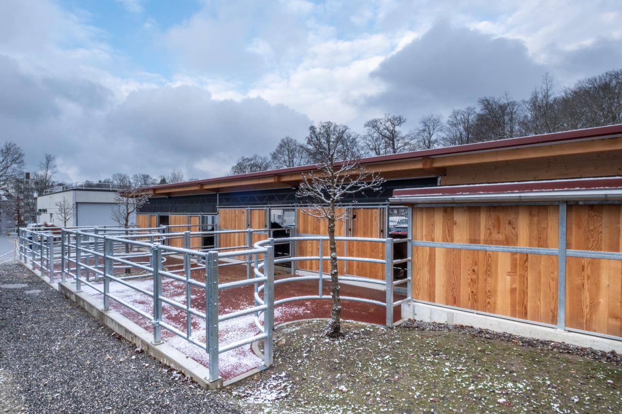 25437_Tierspital Bern Paddock.jpg