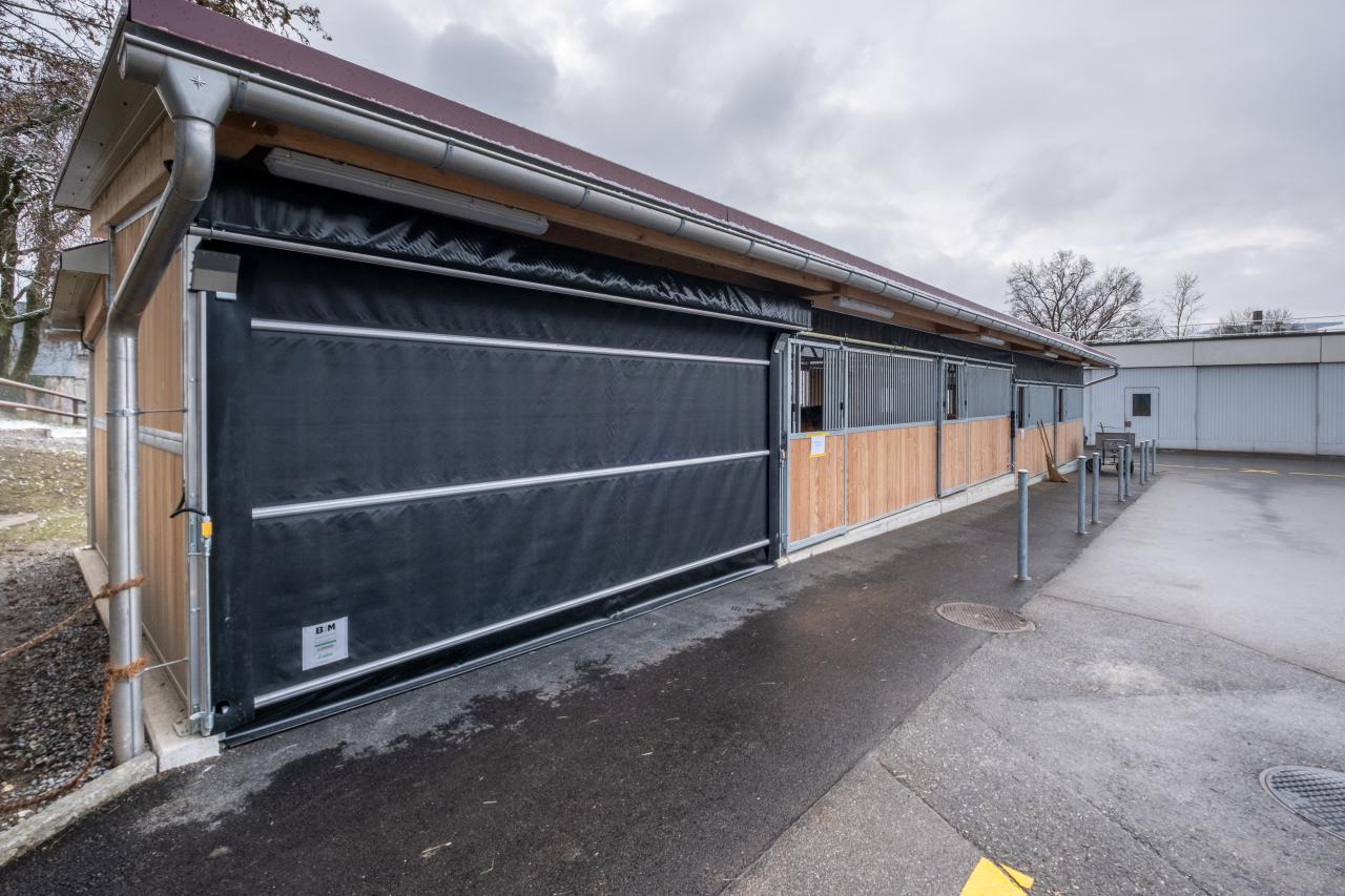 25437_Tierspital Bern Rollotor.jpg