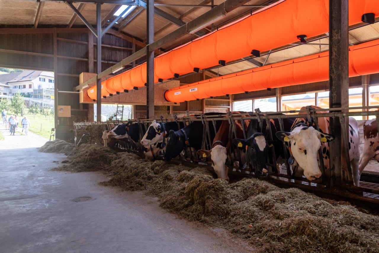 referenz-lueftungsschlauch-gebrueder-widmer-1