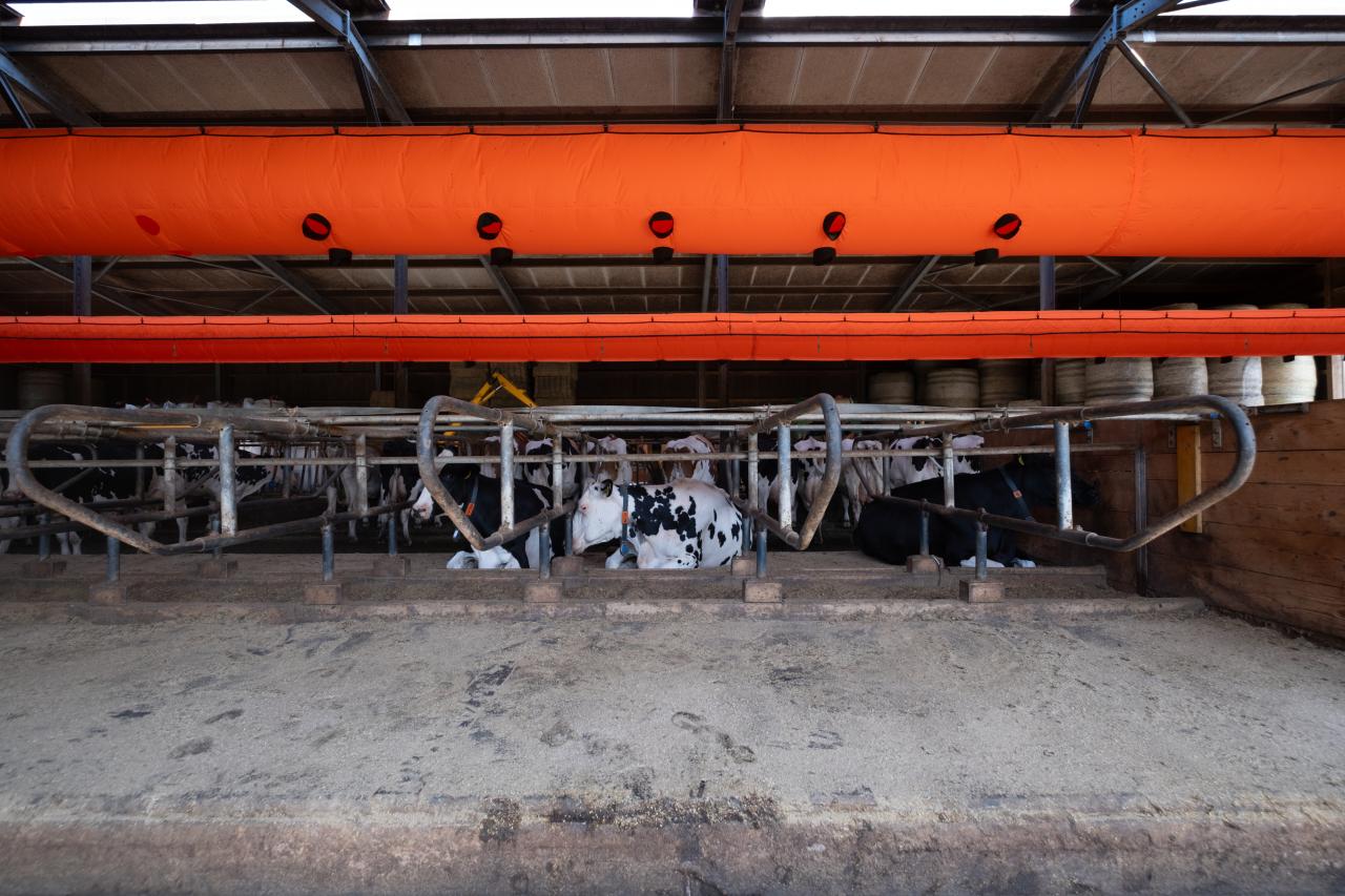 referenz-lueftungsschlauch-gebrueder-widmer-4