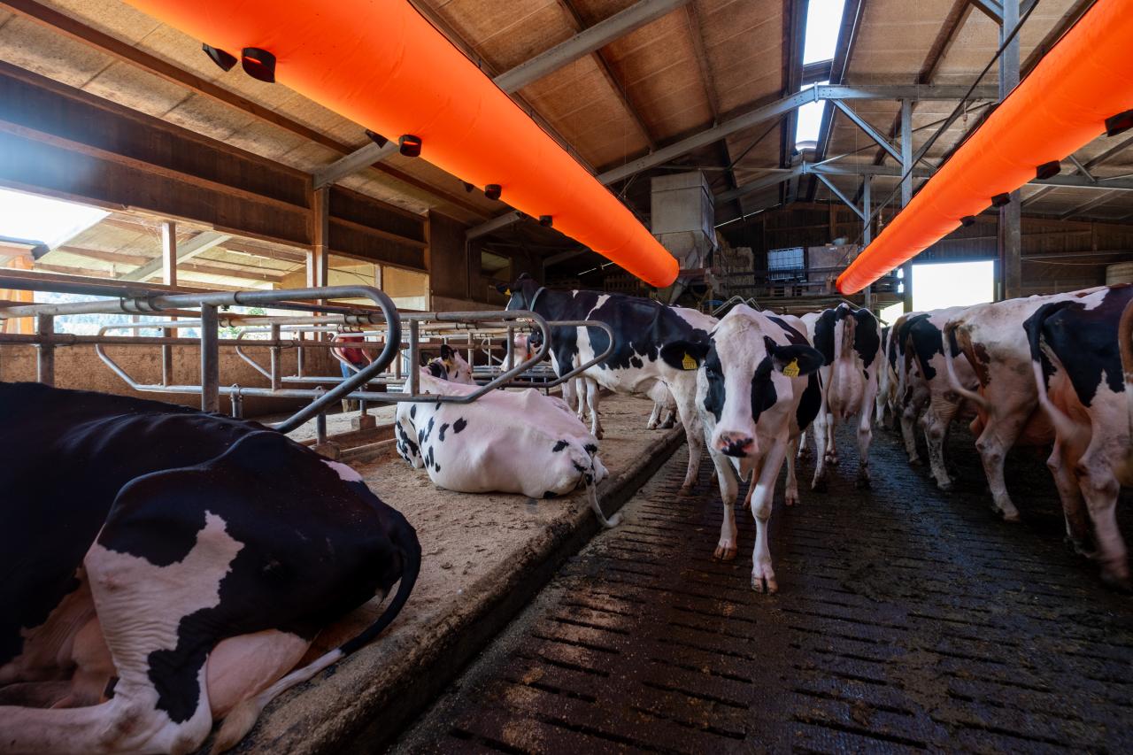 referenz-lueftungsschlauch-gebrueder-widmer-5