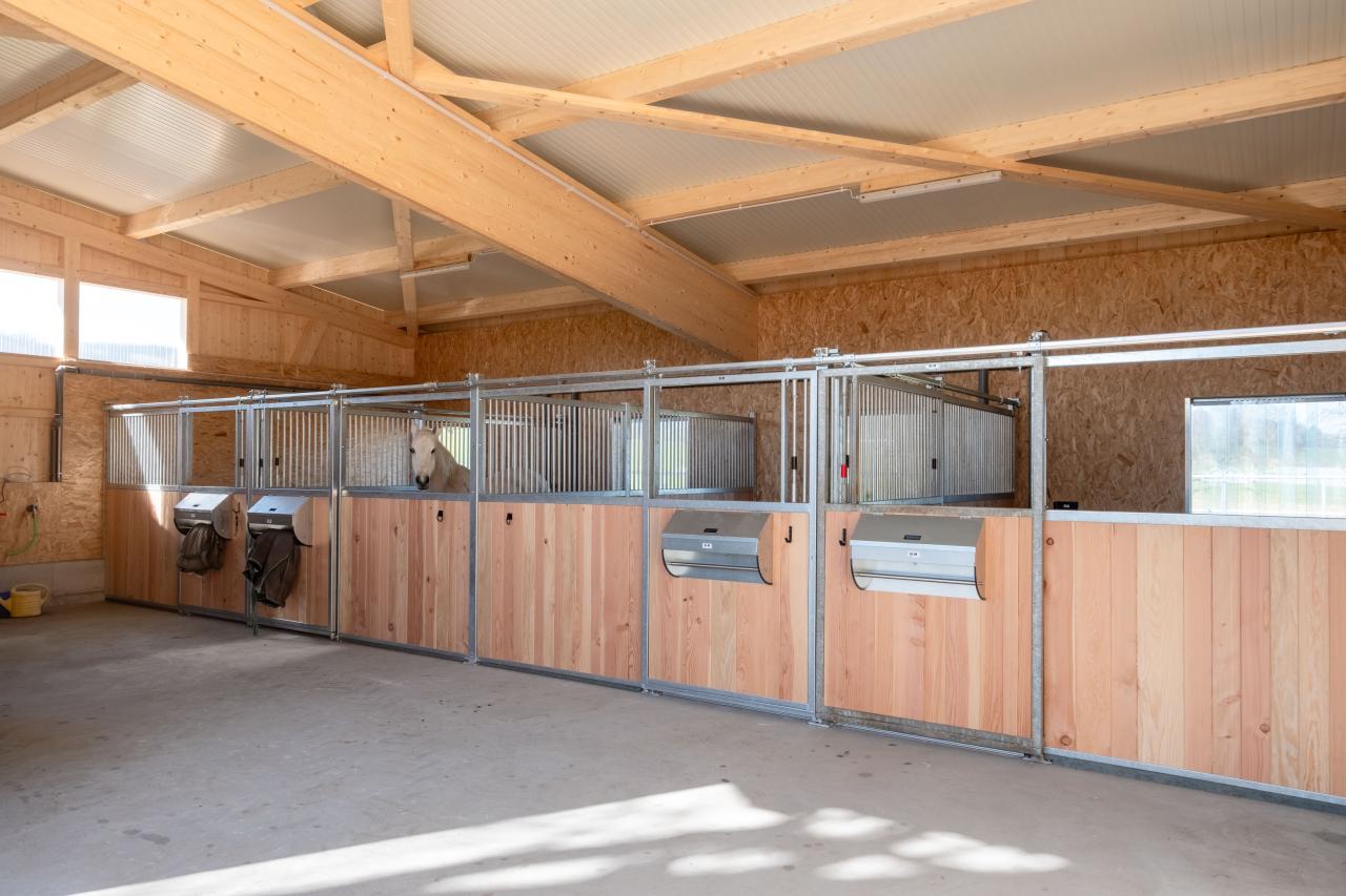 64800 Eveline Villiger