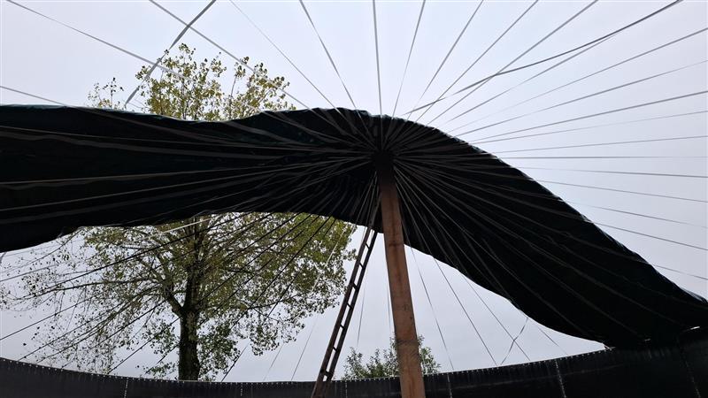 emissionsschutzdach hort wölflinswil 3