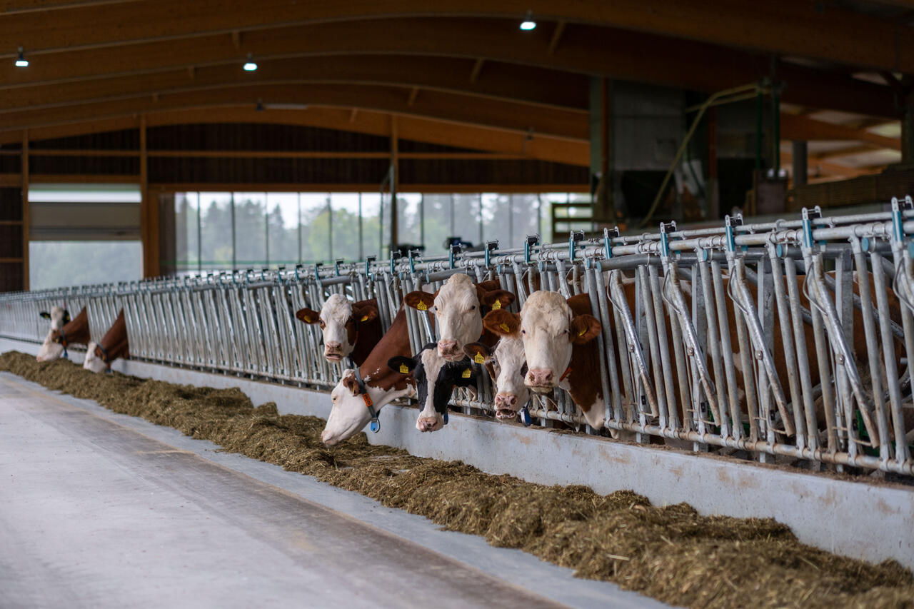 Referenz_Philipp Meyer 26229 2