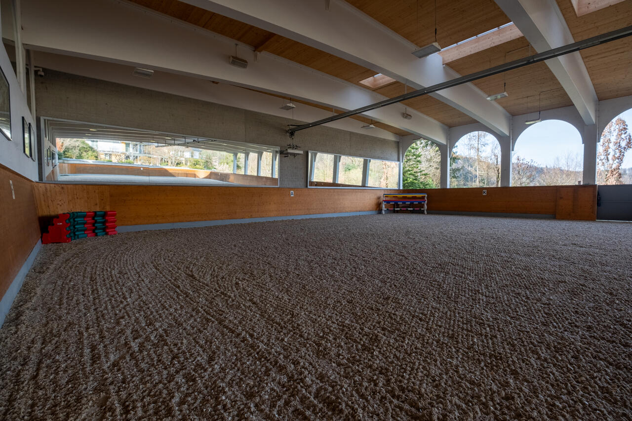 64730_Corinne_Stern_Reithalle mit Spiegel-3.jpg