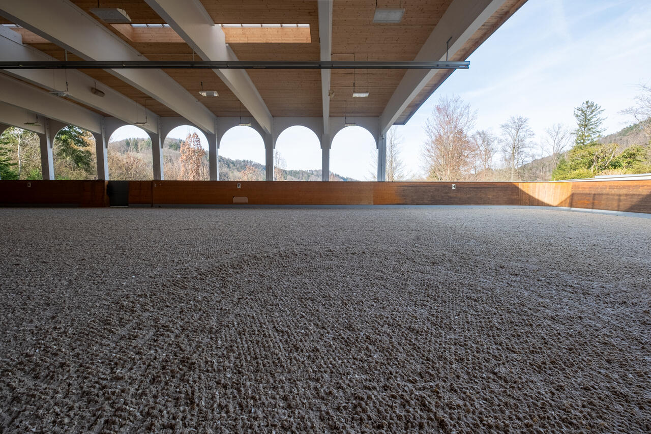 64730_Corinne_Stern_Reithalle mit Spiegel-4.jpg