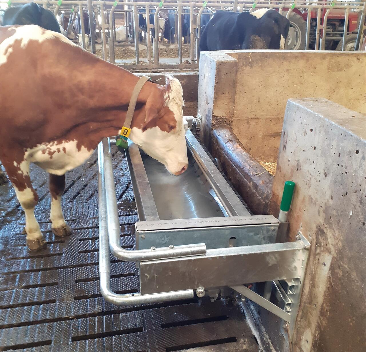 tränketrog selbstreinigend