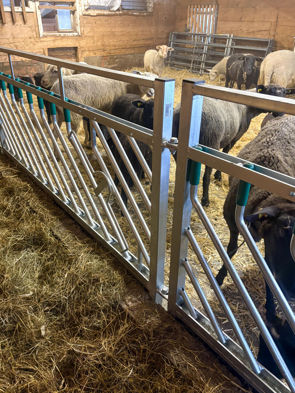 38421 Wohngemeinschaft Stocken 1-2.jpg