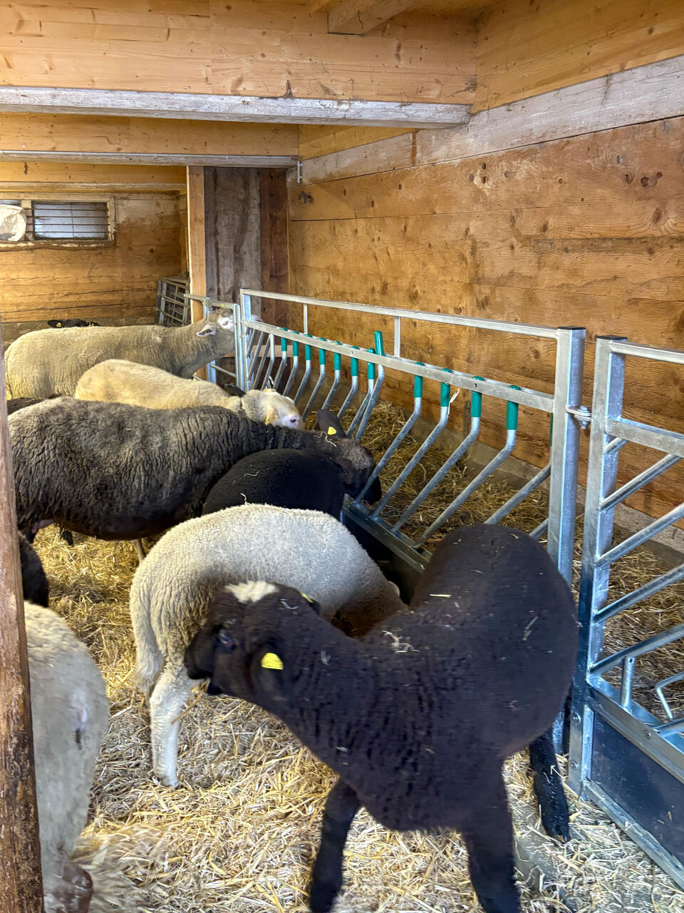 38421 Wohngemeinschaft Stocken 6-2.jpg