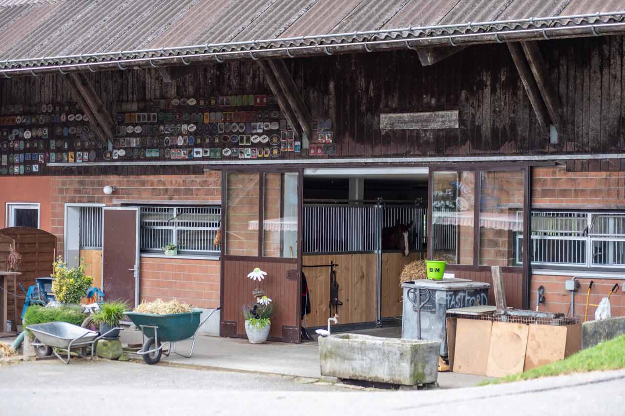 47374-aurel-bürli-willisau-stallumbau.jpg