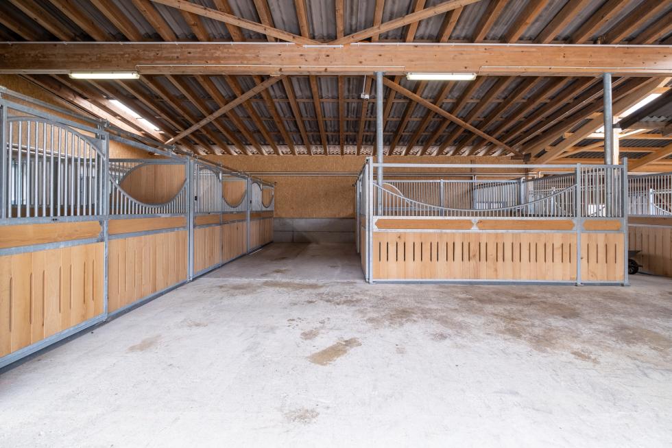 STW 12005#2#Pferdebox Appenzell im Grossstall#verzinkt
