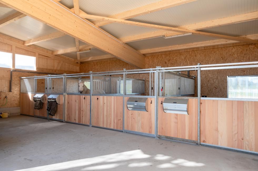 STW 12051#2#Pferdeboxen Bodensee Stimmungsbild#braun