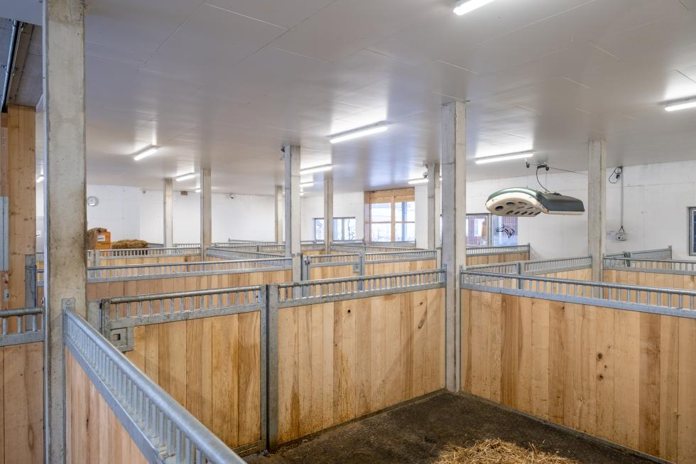 STW 12060#2#PFerdeboxen Laufental Stall Huebi#verzinkt
