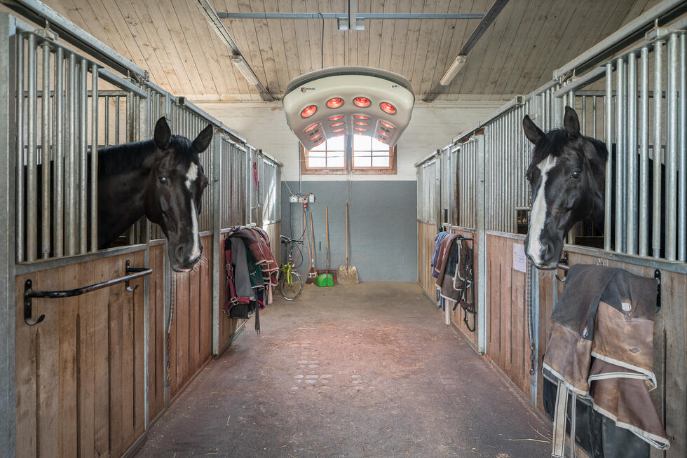 Ein Pferdesolarium, zweifarbig, grüner und grauer Kunststoff, leicht gewölbt und gebogen, mit roten und andersfarbigen Lampen, sowie Ventilatoren auf der Unterseite, aufgehängt in Stallgang, roter Boden, rechts und links Pferdeboxen, auf jeder Seite schaut jeweils ein schwarzes Pferd in den Gang hinaus