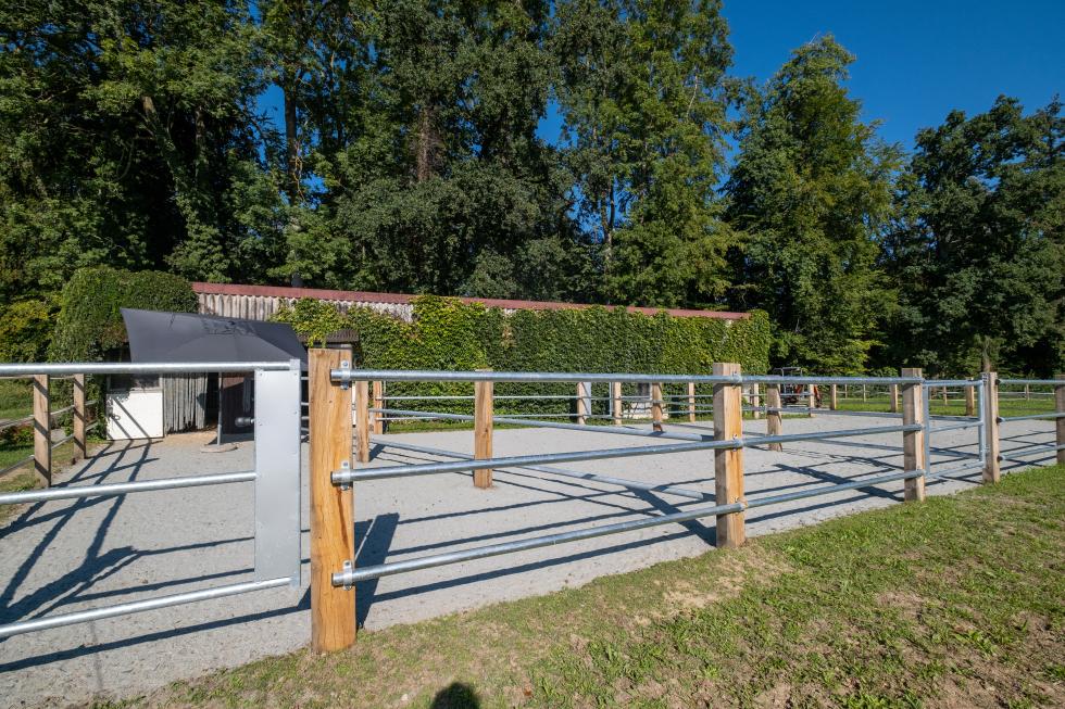 Auf Sandplatz festinstallierte Eichenzaunpfosten mit installiertem dreilagigem Rohrzaun, Stall im Hintergrund und drei Pferden im Vordergrund hinter dem Zaun