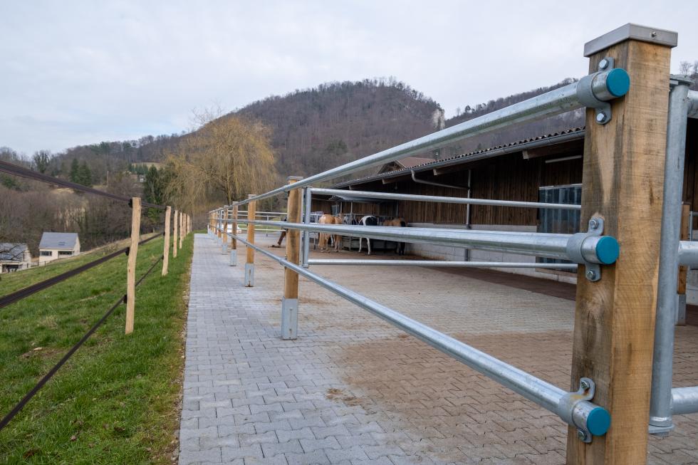 Auf Sandplatz festinstallierte Eichenzaunpfosten mit installiertem dreilagigem Rohrzaun, Stall im Hintergrund und drei Pferden im Vordergrund hinter dem Zaun