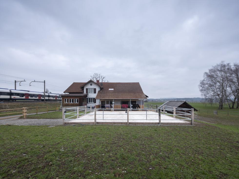 Auf Sandplatz festinstallierte Eichenzaunpfosten mit installiertem dreilagigem Rohrzaun, Stall im Hintergrund und drei Pferden im Vordergrund hinter dem Zaun