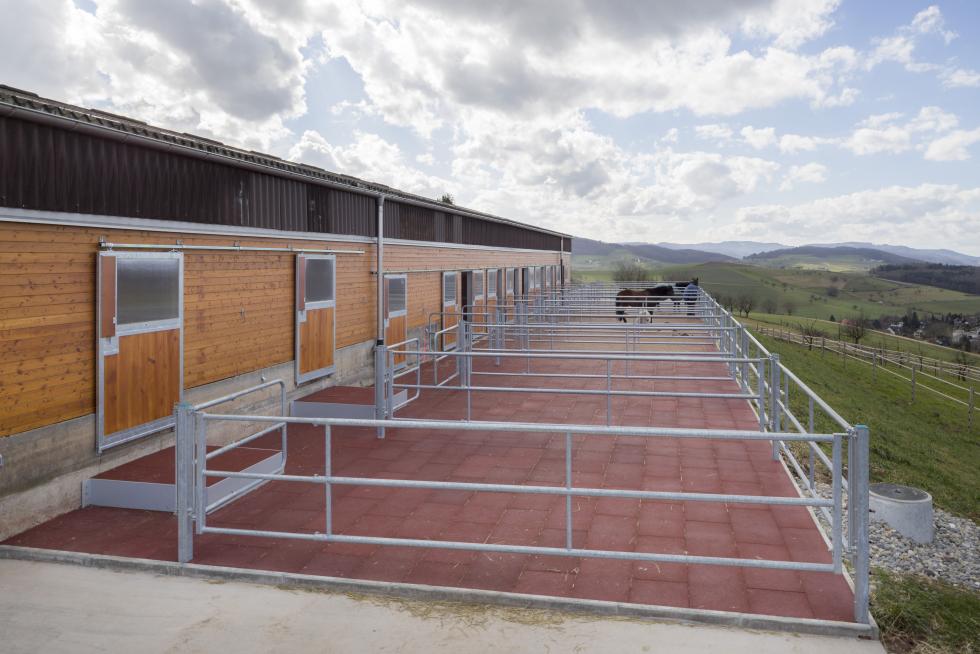 Ein Pferdeauslauf, durch Abtrennungen getrennt, bedeckt mit ineinander verlegten, roten, Komfortex Gummigranulatplatten, Wiese auf der rechten Seite, Stall auf der linken, Pferd im hinteren Ende des Auslaufs, leicht bewölkter Himmel 