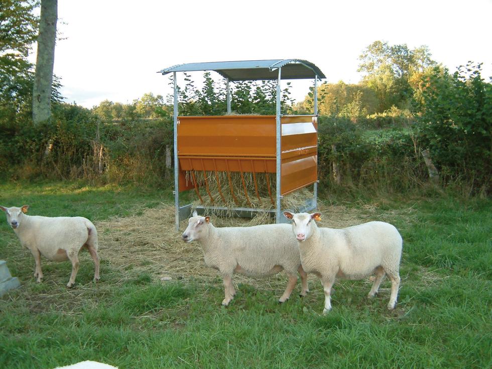 Ein Behandlungs- und Einfangstandstand mit Liegegitter und Schwenkachse, vorne zwei feste schwarze Räder, auf der Hinterseite ein schwarzes Brett, Schaf eingespannt umgedreht, wessen Klauen von einer Person geschnitten werden
