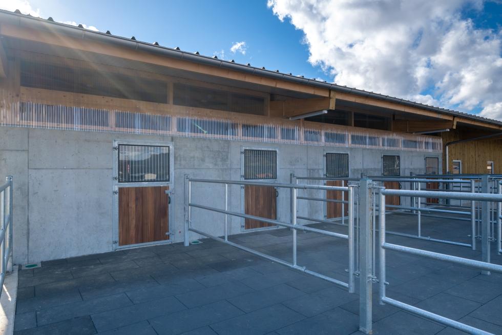 Ein weisser Raum mit schräg versetzt verlegten, roten Komfortexplatten, Ansicht von aussen in den Raum hinein